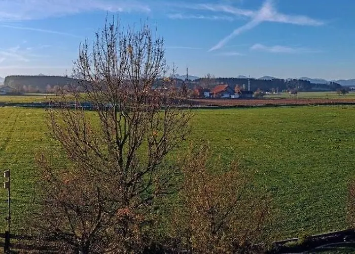Unterm Dach Mit Alpenblick Apartment